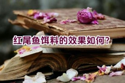 红尾鱼饵料的效果如何？