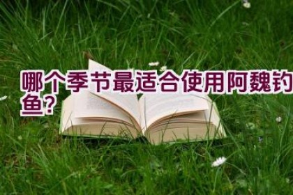 哪个季节最适合使用阿魏钓鱼？
