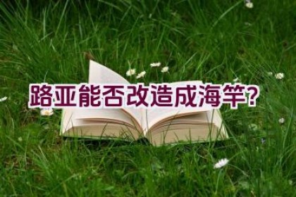 路亚能否改造成海竿？