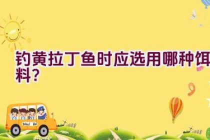 钓黄拉丁鱼时应选用哪种饵料？
