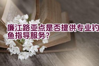 廉江路亚点是否提供专业钓鱼指导服务？