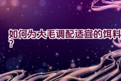 如何为大毛调配适宜的饵料？