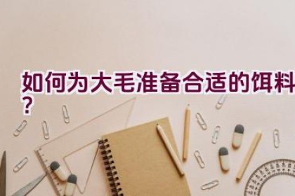 如何为大毛准备合适的饵料？