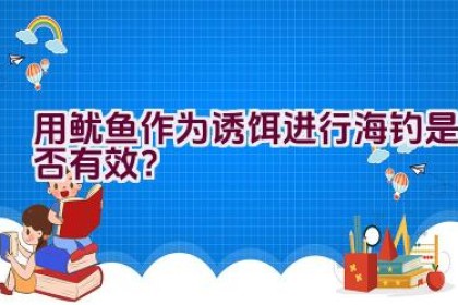 用鱿鱼作为诱饵进行海钓是否有效？