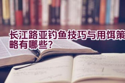 长江路亚钓鱼技巧与用饵策略有哪些？