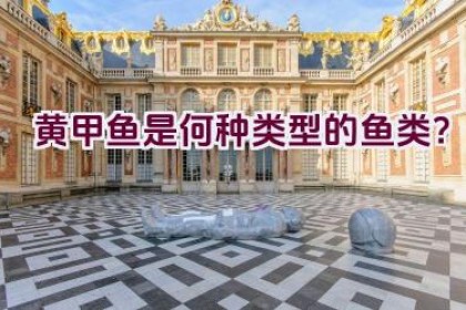 黄甲鱼是何种类型的鱼类？