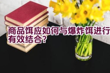 商品饵应如何与爆炸饵进行有效结合？