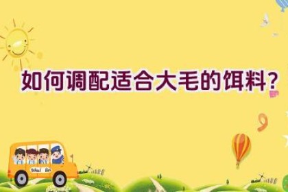 如何调配适合大毛的饵料？