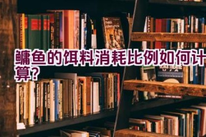 鳙鱼的饵料消耗比例如何计算？