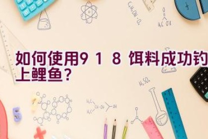 如何使用918饵料成功钓上鲤鱼？