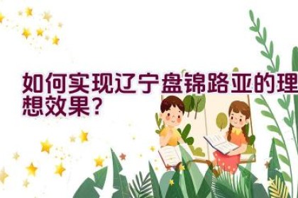 如何实现辽宁盘锦路亚的理想效果？