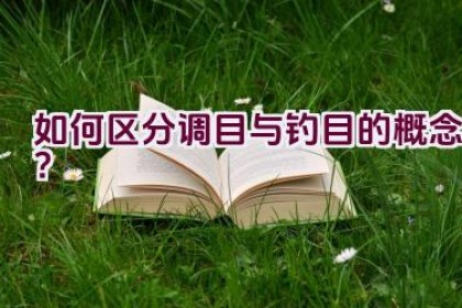 如何区分调目与钓目的概念？