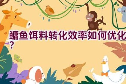 鳙鱼饵料转化效率如何优化？
