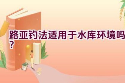 路亚钓法适用于水库环境吗？