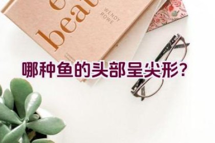 哪种鱼的头部呈尖形？