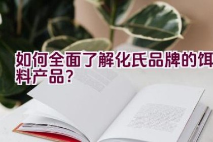 如何全面了解化氏品牌的饵料产品？