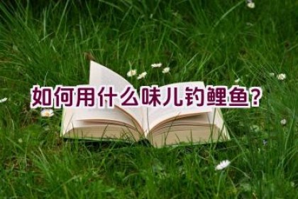 如何用什么味儿钓鲤鱼？