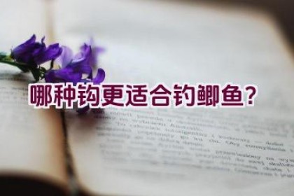 哪种钩更适合钓鲫鱼？