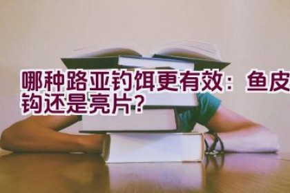 哪种路亚钓饵更有效：鱼皮钩还是亮片？