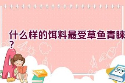 什么样的饵料最受草鱼青睐？