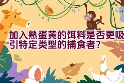 加入熟蛋黄的饵料是否更吸引特定类型的捕食者？
