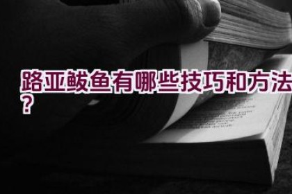 路亚鲅鱼有哪些技巧和方法？