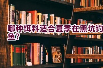哪种饵料适合夏季在黑坑钓鱼？