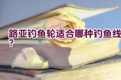路亚钓鱼轮适合哪种钓鱼线？