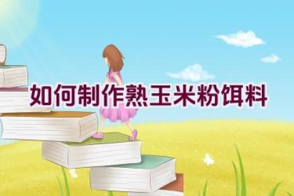 如何制作熟玉米粉饵料