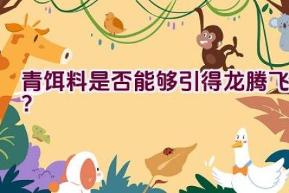 “青饵料是否能够引得龙腾飞？”