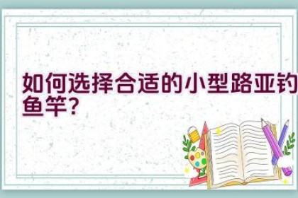 如何选择合适的小型路亚钓鱼竿？