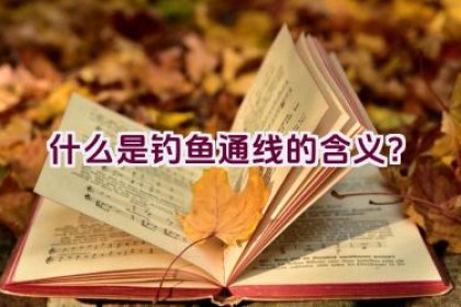 什么是”钓鱼通线”的含义？