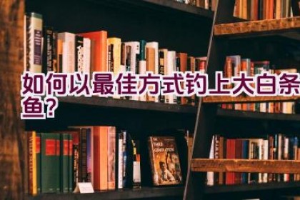 如何以最佳方式钓上大白条鱼？