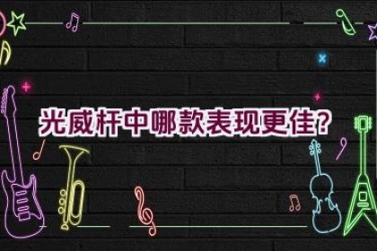 光威杆中哪款表现更佳？