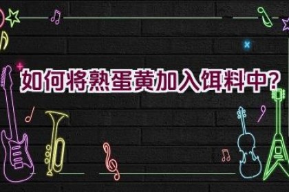 如何将熟蛋黄加入饵料中？