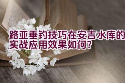路亚垂钓技巧在安吉水库的实战应用效果如何？