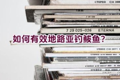 如何有效地路亚钓鲅鱼？