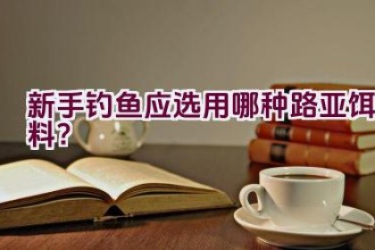 新手钓鱼应选用哪种路亚饵料？