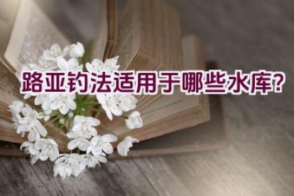 路亚钓法适用于哪些水库？