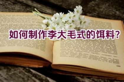 如何制作李大毛式的饵料？