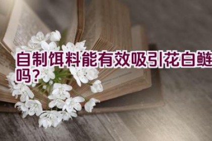 自制饵料能有效吸引花白鲢吗？