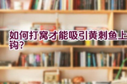 如何打窝才能吸引黄刺鱼上钩？