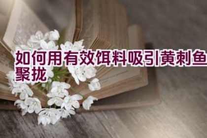 如何用有效饵料吸引黄刺鱼聚拢