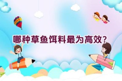 哪种草鱼饵料最为高效？