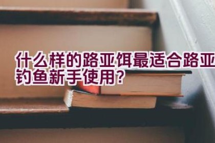 什么样的路亚饵最适合路亚钓鱼新手使用？