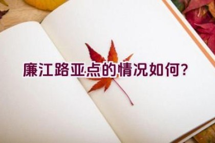 廉江路亚点的情况如何？