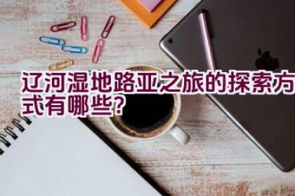 辽河湿地路亚之旅的探索方式有哪些？