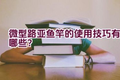 微型路亚鱼竿的使用技巧有哪些？