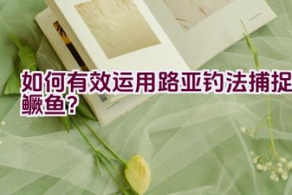 如何有效运用路亚钓法捕捉鳜鱼？