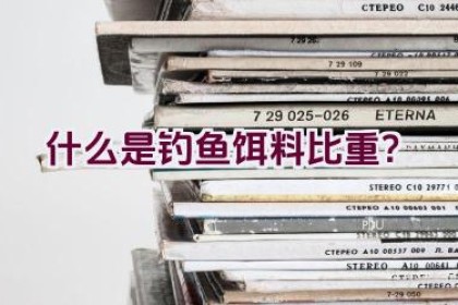 什么是钓鱼饵料比重？